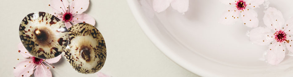 Boutique Allaitement - Protection des mamelons